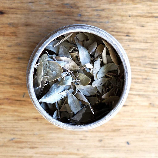 Loose leaf bush tea